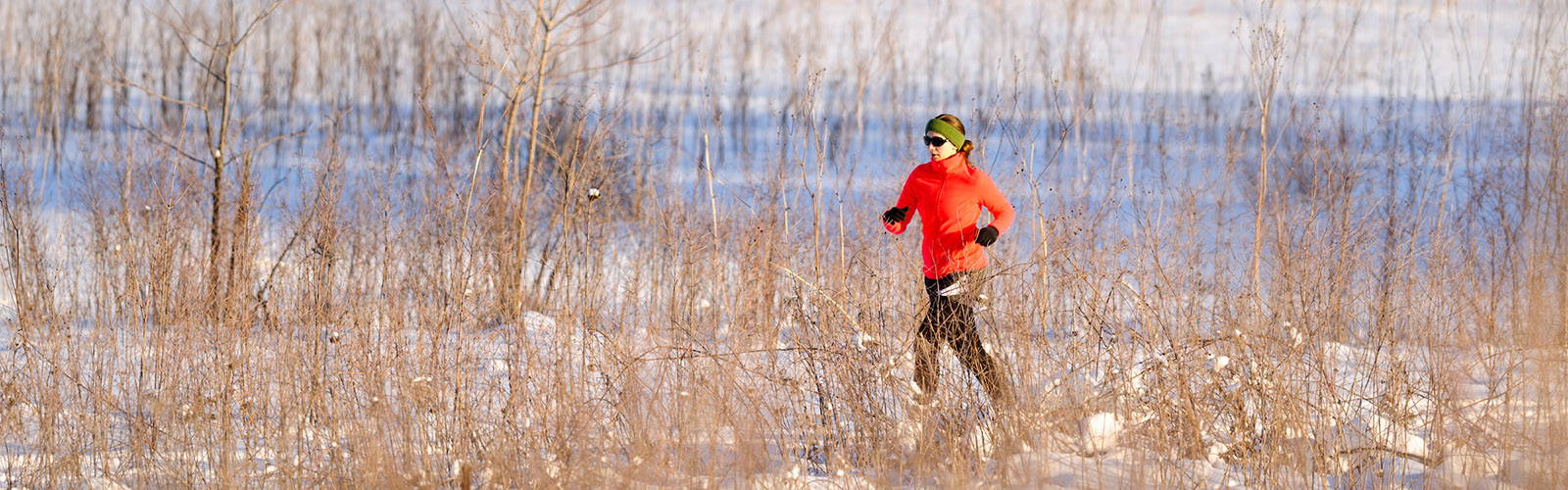 Climate Working Group Wisconsin Initiative On Climate Change Impacts