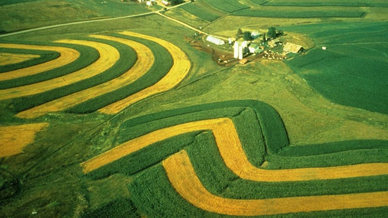 Aerial view of an example of contour farming, with alternating bands of amber and lush green farmland