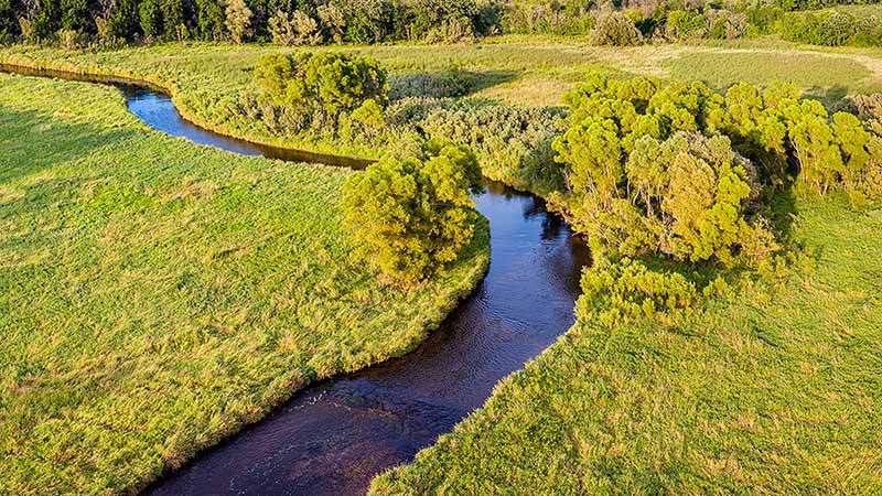 A narrow river winds through a lush green prairie