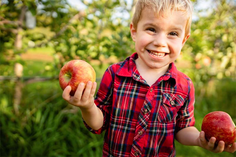 A young boy, dressed in a red flannel shirt, smiles broadly while holding an apple in each hand