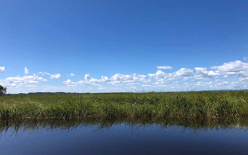 Insights on climate from the Bad River Band of Lake Superior Tribe