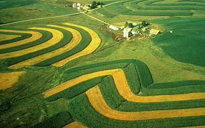 Aerial view showing contour farming, with alternating rows of green and amber