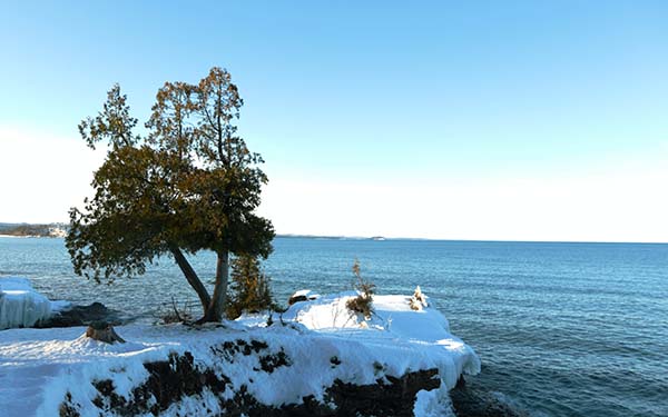 A tree stands on a snowy cliff overlooking the open waters of Lake Superior during winter