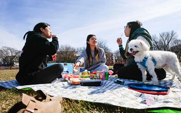 Three people having a picnic during an unusually warm January day