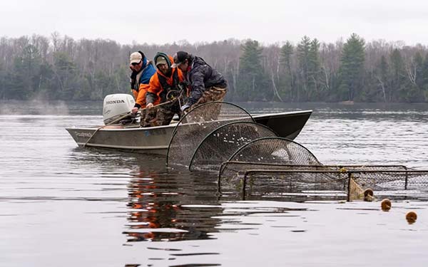 Three anglers in a boat adjusting a net used for catching walleye